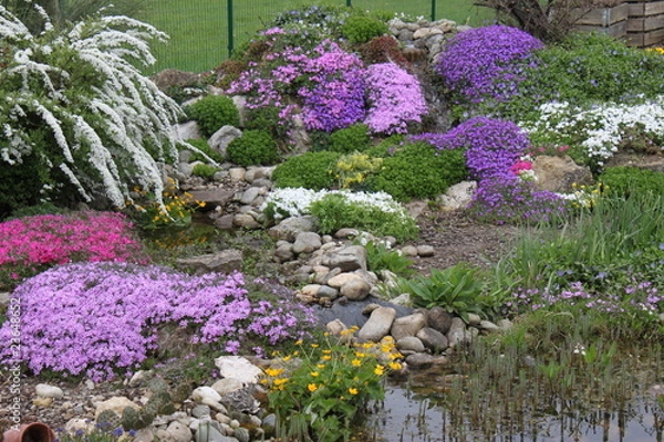 Fototapeta Bodendecker