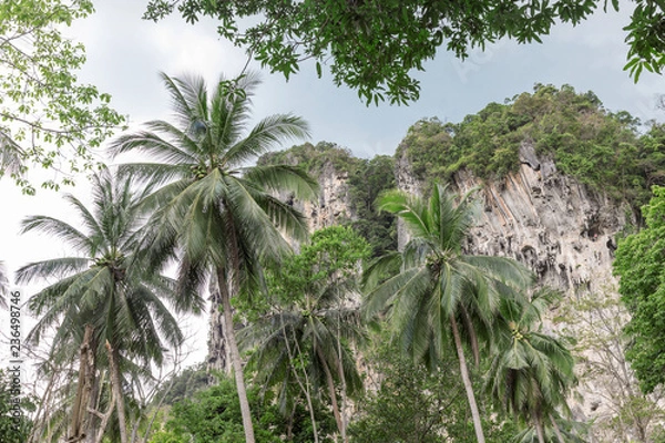 Fototapeta Popular travel tropical karst rocks perfect for climbing, Krabi province, Thailand