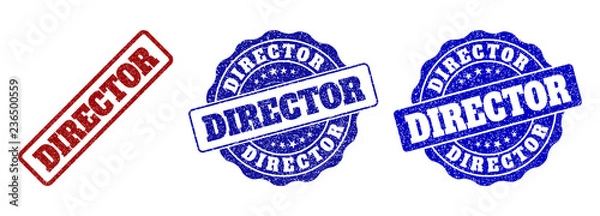 Fototapeta DIRECTOR grunge stamp seals in red and blue colors. Vector DIRECTOR signs with grunge surface. Graphic elements are rounded rectangles, rosettes, circles and text titles.