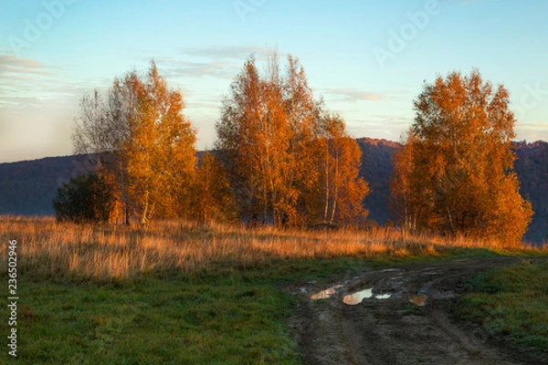Obraz Dawn in the Bieszczady Mountains