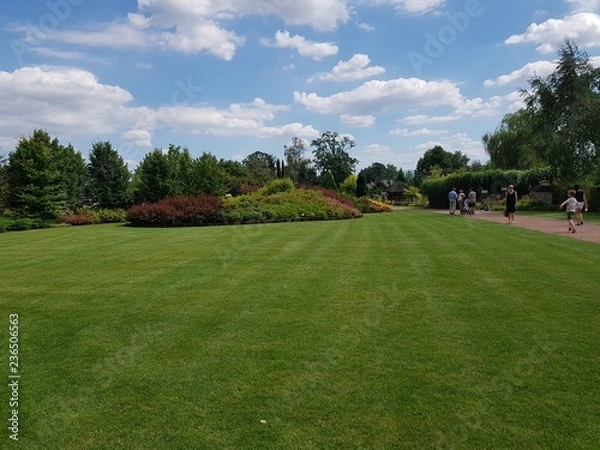 Obraz GARDEN AND GRASS