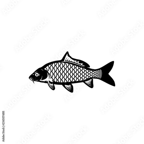 Obraz carp fish, fishing symbol