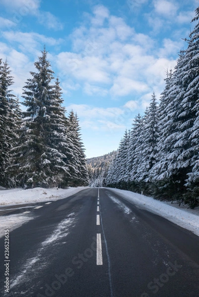 Obraz Beautiful Winter Road With Forest