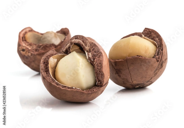 Fototapeta macadamia nuts on white background
