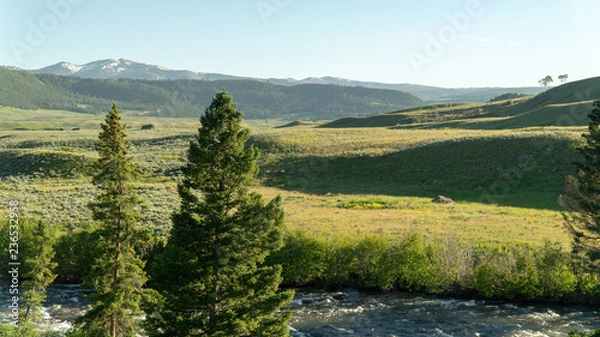 Fototapeta Landscape