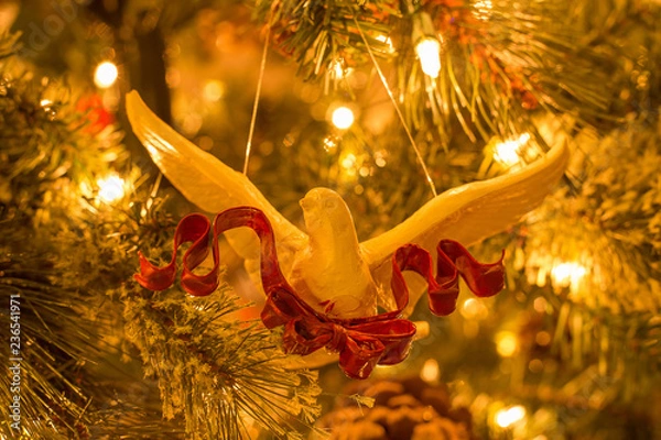 Fototapeta Peace Dove