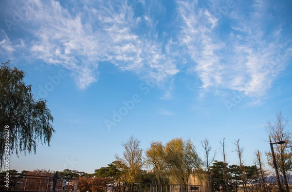 Fototapeta 하늘 그리고 평화