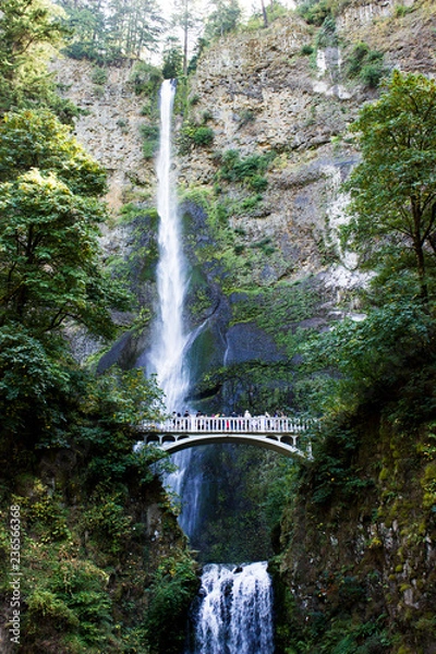 Fototapeta Multnomah Falls Oregon