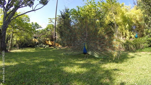 Obraz DCIM\100GOPRO\G0011703.