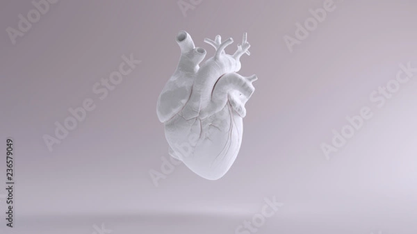 Obraz Białe serce anatomiczne ilustracja 3d renderowania 3d