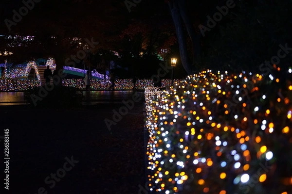 Fototapeta 西武園ゆうえんちイルミネーション