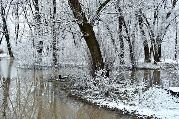Obraz winter landscape