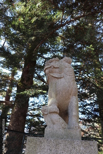 Fototapeta 紅葉豊かな新倉山浅間公園