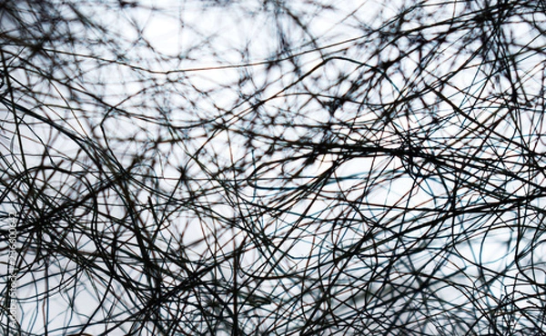 Fototapeta Black web on white background. Intertwined threads. The texture of the web. Gloomy background. Strange abstraction. Cosmic illusion. Intricate pattern.
