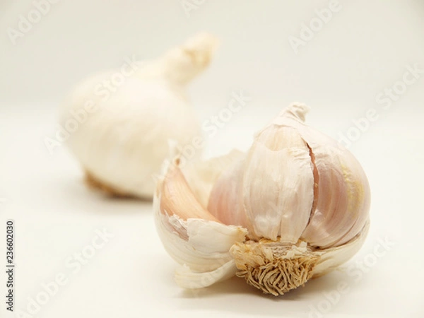 Obraz Fresh garlic on white background