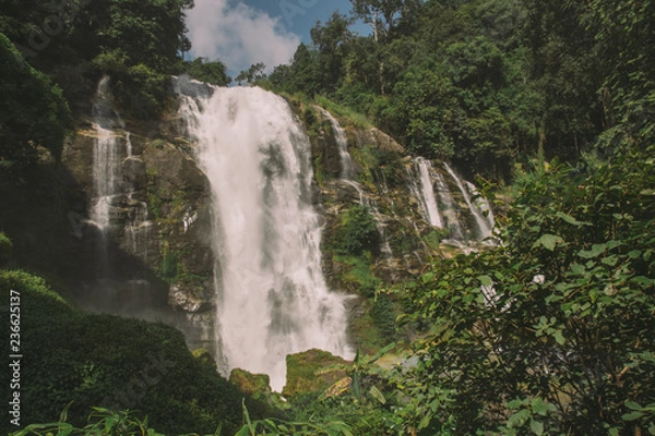 Obraz waterfall in forest