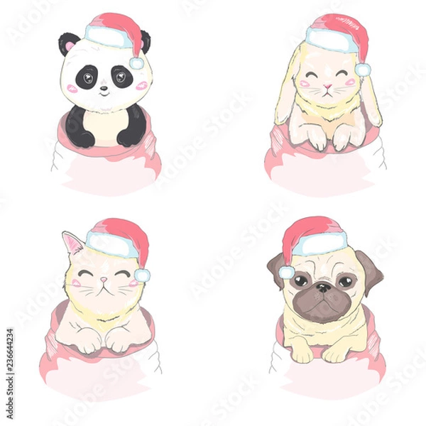 Obraz Pets face, dog, cat, and rabbit