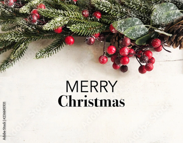 Obraz Mistletoe background and Merry Christmas Text