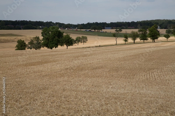 Fototapeta Getreidefeld nach der Ernte