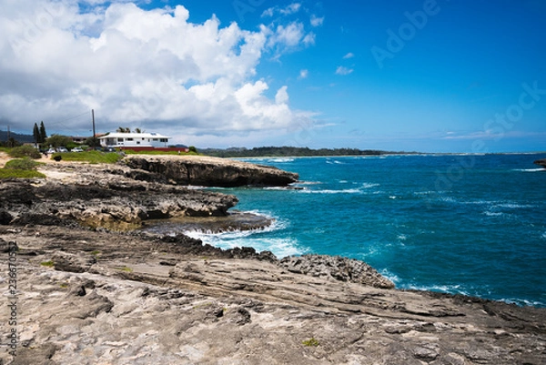 Fototapeta Ocean Shore