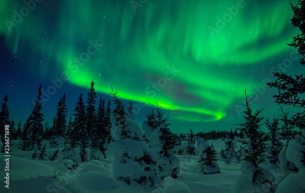 Obraz Northern Lights Fill The Sky