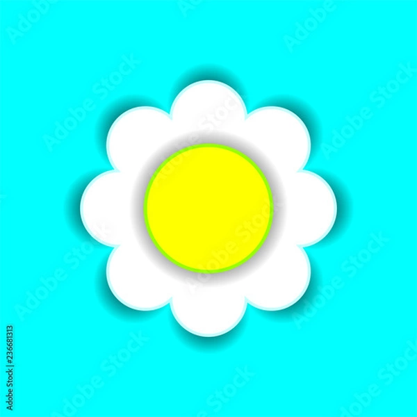 Fototapeta Beautiful white flower. Isolated object on a blue background. Vector image. Isolate.
