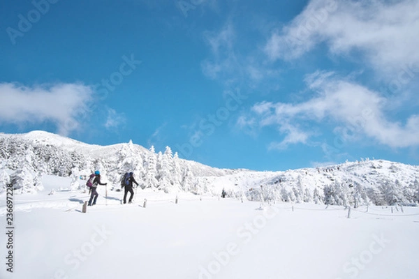 Obraz 冬の北八ヶ岳