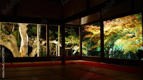 Obraz 宝泉院の秋のライトアップ