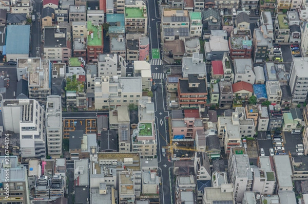 Fototapeta Aerial view of Tokyo cityscape from high above. Dense populated area with many buildings.