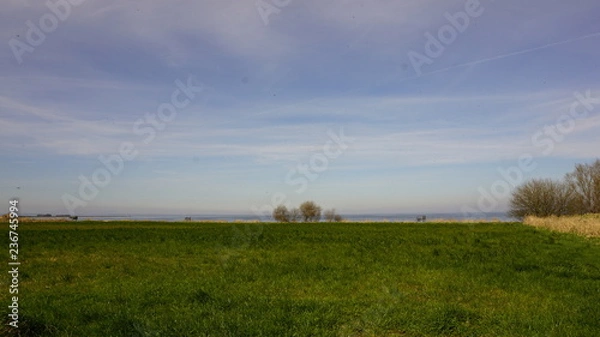 Obraz landscape with wheat field and blue sky