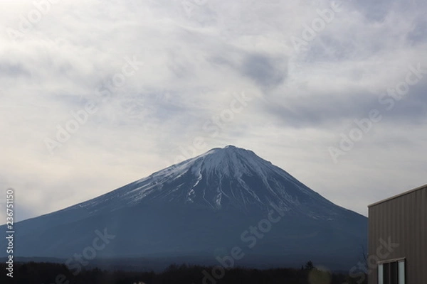 Fototapeta 西湖から見た富士山