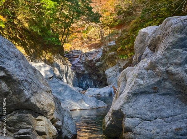 Obraz OLYMPUS DIGITAL CAMERA