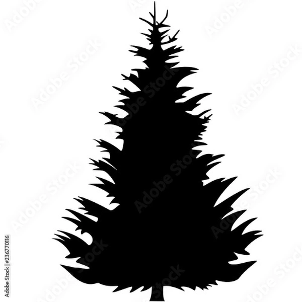 Obraz Tanne Silhouette