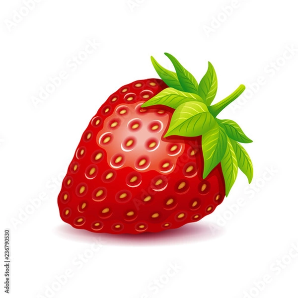 Obraz Strawberry vector logo.