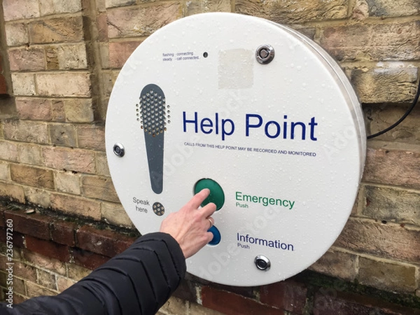 Obraz Calling for help