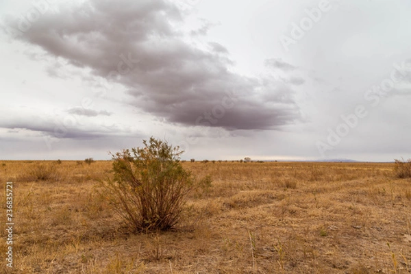 Fototapeta Endless steppes in front of a sky and clouds.