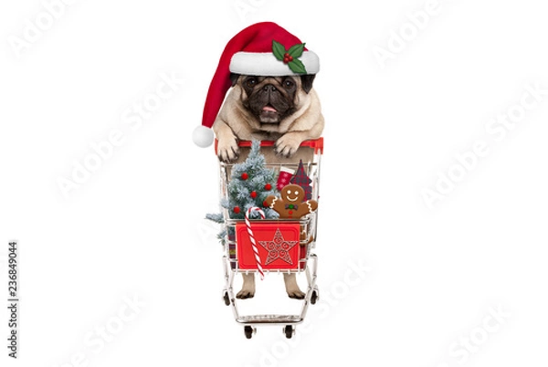 Fototapeta ładny szczęśliwy sezonowy mops szczeniak z koszykiem pełnym świątecznych dekoracji, słodyczy i drzewa, na białym tle
