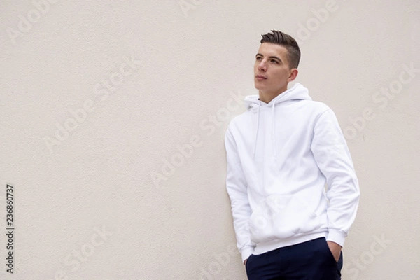 Obraz Klevis