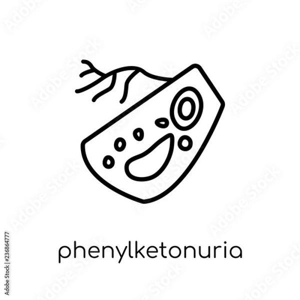 Fototapeta Phenylketonuria icon. Trendy modern flat linear vector Phenylketonuria icon on white background from thin line Diseases collection