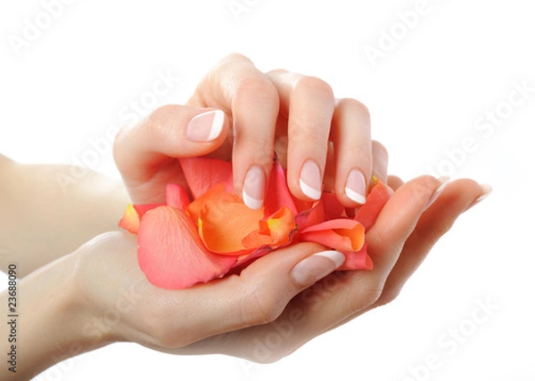 Fototapeta Beautiful hand with perfect french manicure and flower petals