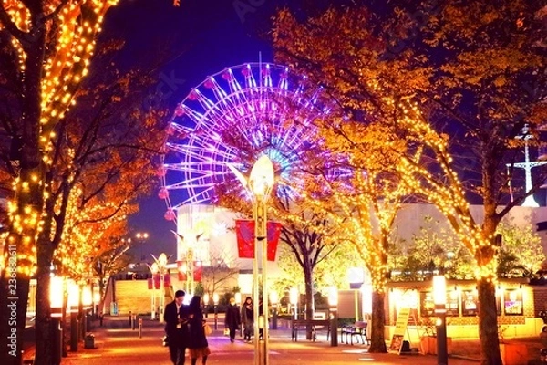 Fototapeta 神戸バーバーイルミネーション