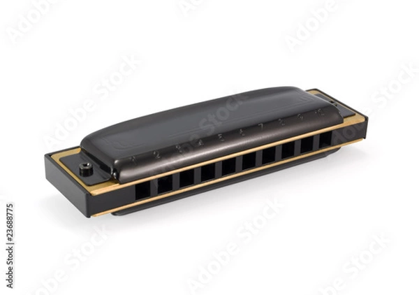 Obraz harmonica