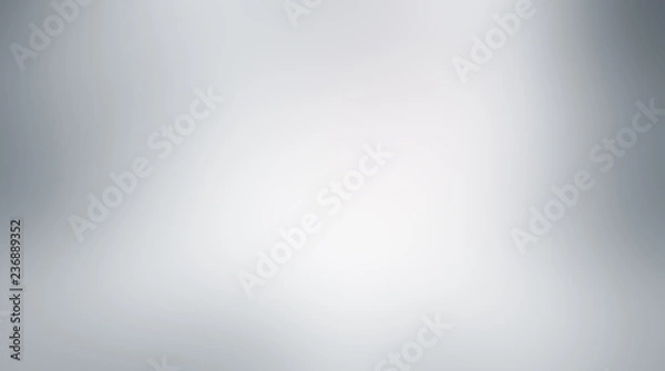 Fototapeta white gray background / soft grey gradient abstract background