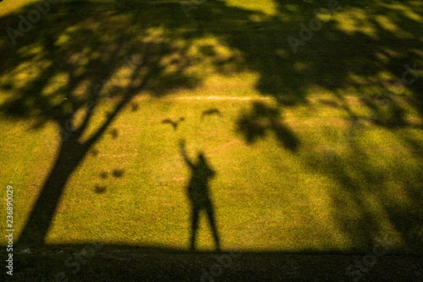 Fototapeta Greeting shadow