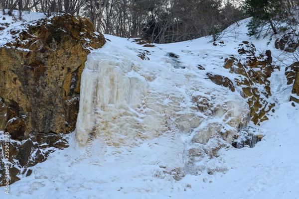 Obraz イエローフォール