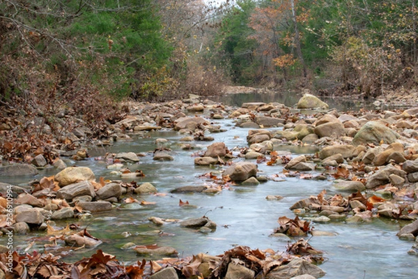 Obraz stream in autumn