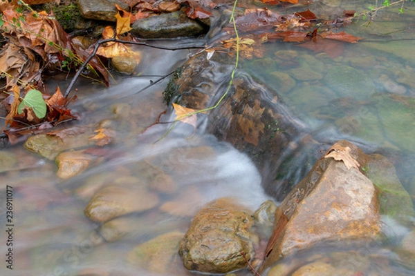 Obraz river in autumn
