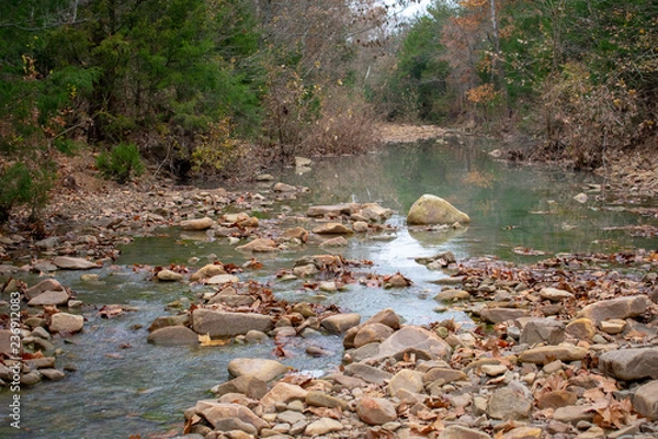 Obraz river in forest