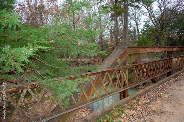Obraz railway in forest