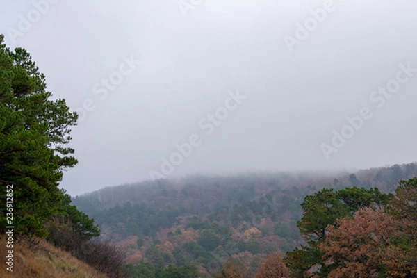 Obraz landscape with trees and cloud